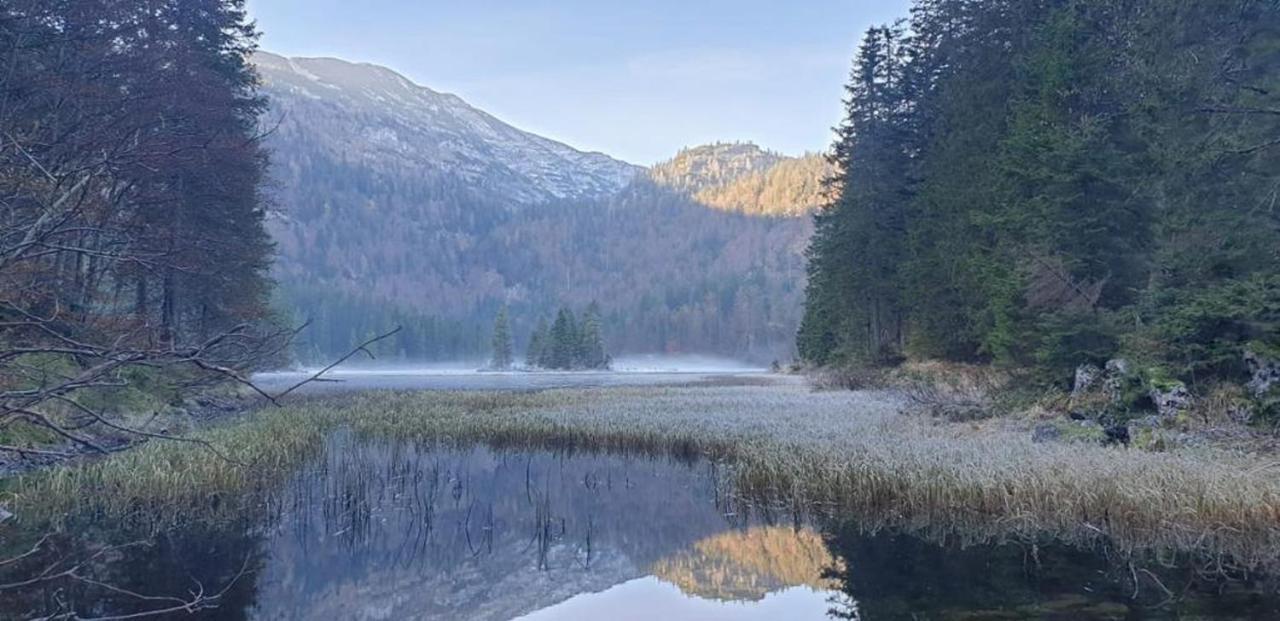 Ledererhof Lunz Am See Dış mekan fotoğraf