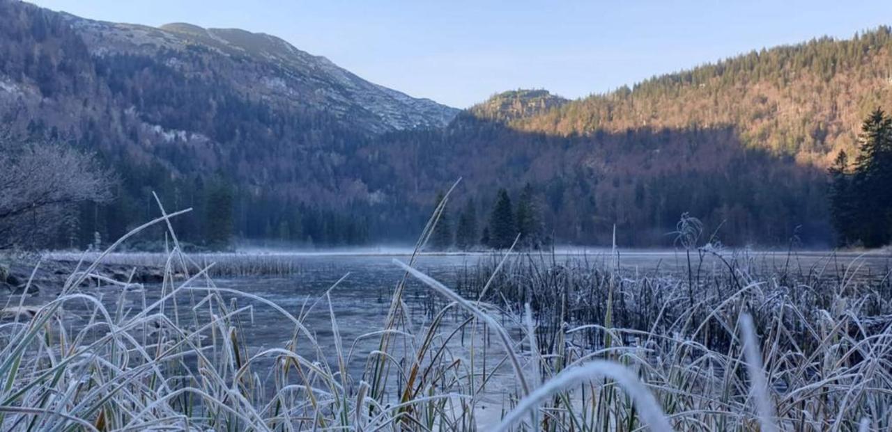 Ledererhof Lunz Am See Dış mekan fotoğraf